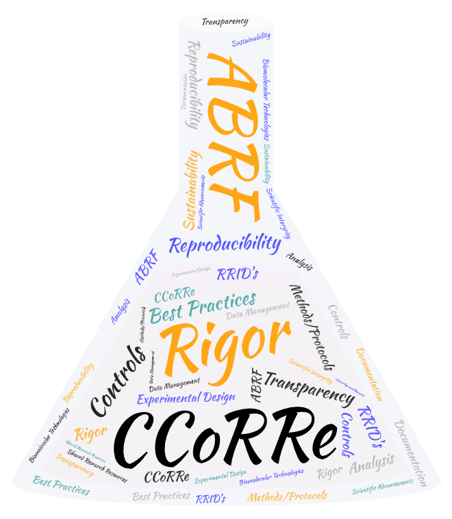 CCoRRe Flask 2