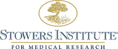 Stower Institute for medical research logo